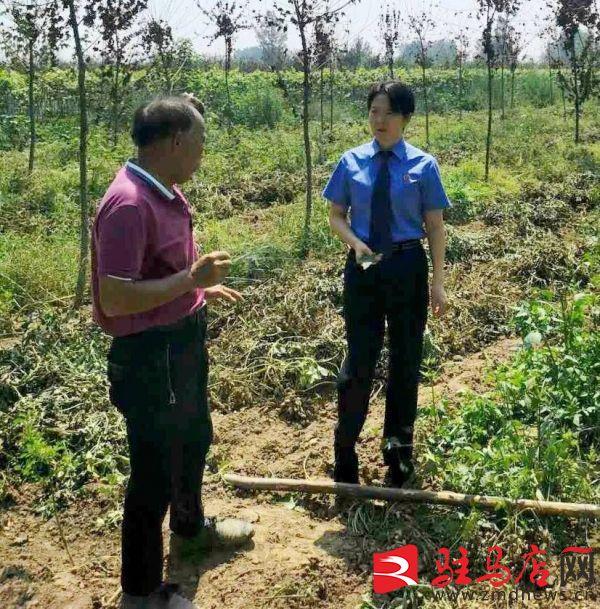 名品彩葉最新動態(tài)，引領(lǐng)行業(yè)潮流，展現(xiàn)多彩魅力