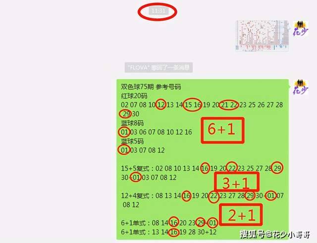 白小姐今晚特馬期期準六,快速響應計劃解析_Hybrid68.379