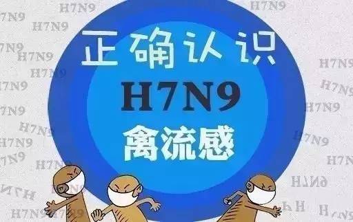 H7N9病毒最新動態，全球防控進展與應對策略更新