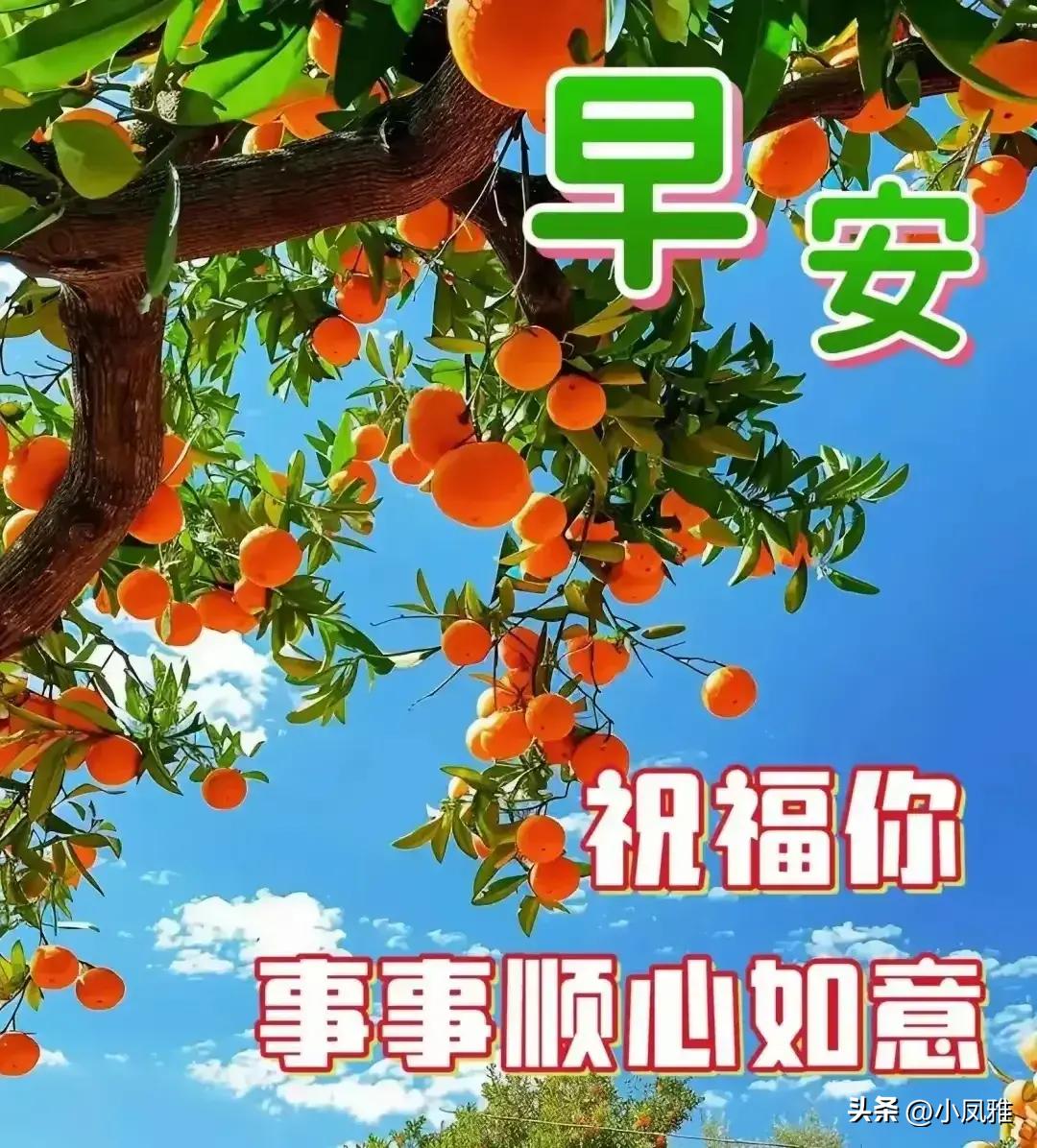 2024天天彩資料大全免費,詳細(xì)解讀落實方案_標(biāo)準(zhǔn)版99.558