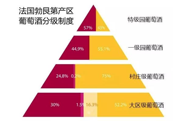 2024澳門今天特馬開什么,快速解答方案執(zhí)行_特別款55.29