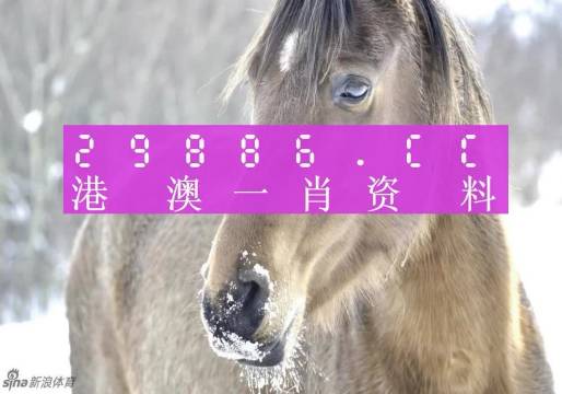 最準(zhǔn)一肖一碼100%澳門｜實(shí)用技巧與詳細(xì)解析