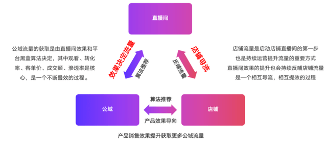 2024新澳門今晚開特馬直播,可靠操作方案_4K版46.256