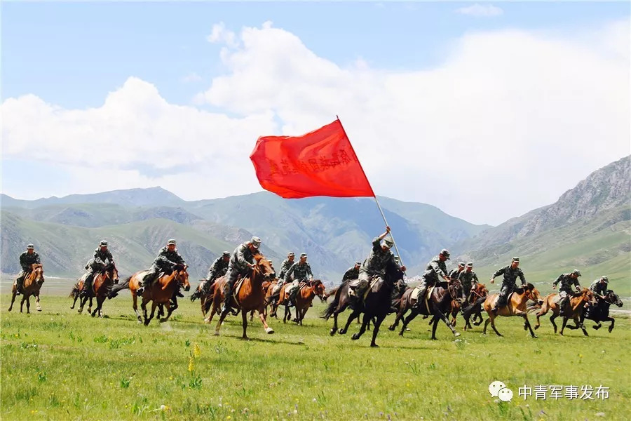 最新騎兵區，重塑榮耀，迎接未來挑戰