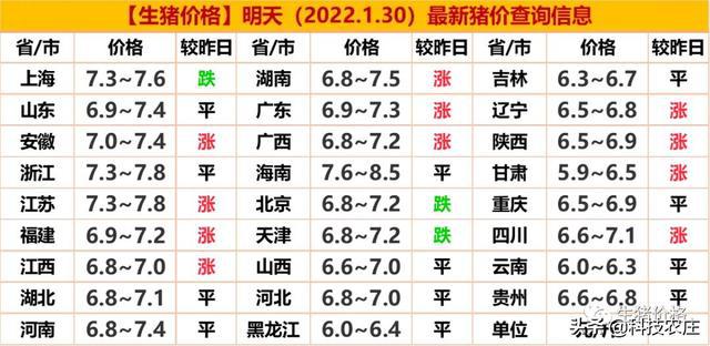 明日豬價查詢及市場走勢分析與預測