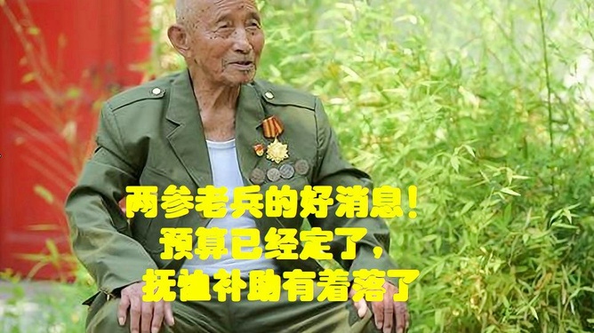 兩參老兵榮譽與關懷并重，共創美好未來最新消息揭秘