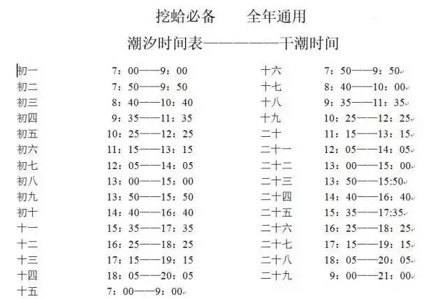 2023最新潮汐表掌握海洋韻律，暢游海洋旅程