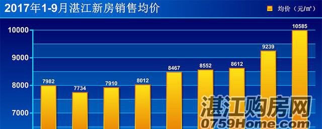 湛江樓盤網最新房價動態深度解析