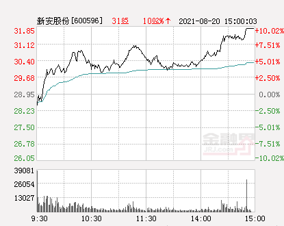 新安股份最新動態全面解析